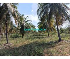 9 acre Coconut Farm land sale after Sira