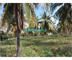9 acre Coconut Farm land sale after Sira