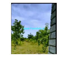 Backwater land for sale 2 acres near Mysore