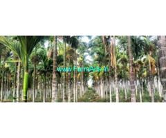 8 Acres developed farm and RCC farmhouse for sale between Sira and Hiriyur