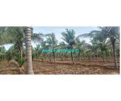 8 Acres developed farm and RCC farmhouse for sale between Sira and Hiriyur
