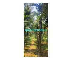 45 acres agriculture land sale near Belthangady