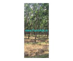 45 acres agriculture land sale near Belthangady