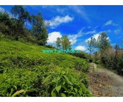 14 Cents Land for Sale near Orange pekeo hotel, Kotagiri