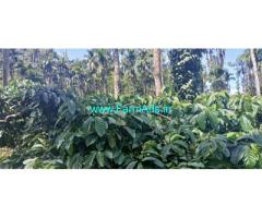 10 acre Plantation Sale at Mudigere