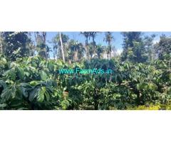 10 acre Plantation Sale at Mudigere