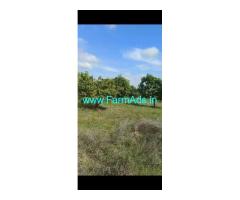 Agriculture land sale total 4 acres Nimmanapalli village