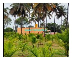 42 Gunta Ready Farmhouse Sale Near Kanakapura Road