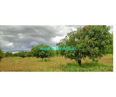 75 Acres developed farmland for sale near Hiriyur Town