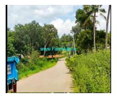 11 Gunta Mango Farmland Sale In Kasaba