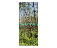 15 acres agriculture land sale near Belthangady