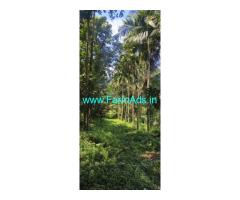 15 acres agriculture land sale near Belthangady