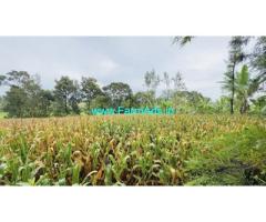 2 acres on record Coffee plantation Sale near Sakleshpur