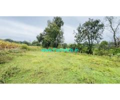 2 acres on record Coffee plantation Sale near Sakleshpur