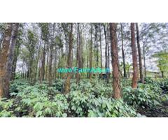 2 acres on record Coffee plantation Sale near Sakleshpur