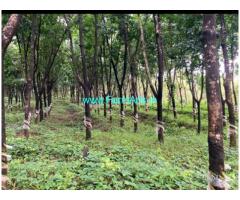 10 acres agriculture land sale near Karkala