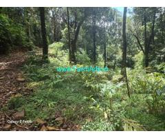8.5 acre land sale in Mudigere