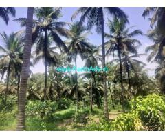 3 acre coconut farm Sale Kozhinjampara,Highway side Farm Land 3 acre coconut farm Sale Kozhinjampara,Highway side Farm Land