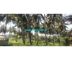 Coconut farm in Palakkad Kozinjampara Sale 2 Acres