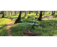 Coconut farm in Palakkad Kozinjampara Sale 2 Acres