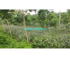 For Sale 5.5 acres Kozhenchery Thadiyoor main road