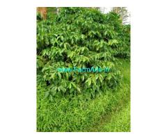 Estate for sale 50 Acres adjacent to Bitherkad town