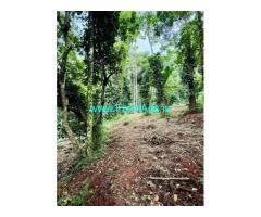 4.91 acres farmland is for sale in Attappadi