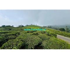 25 acres road frontage tea plantation for sale near Coonor