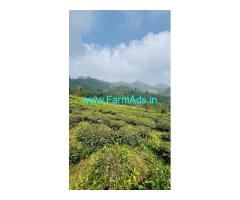 25 acres road frontage tea plantation for sale near Coonor