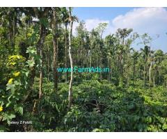 14 acre Robusta, Areca plantation sale in Mudigere
