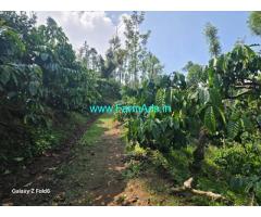 14 acre Robusta, Areca plantation sale in Mudigere