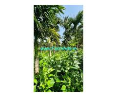 Riverside farmland for sale 1.69 Acres in Attappadi