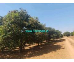 Mango Garden for sale 6 Acres Near Rajapur