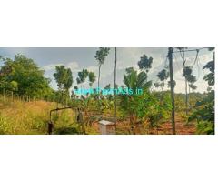 5.15 Acres farmhouse for sale near Koratagere town