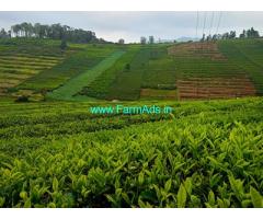 Property for sale in Ooty  3.3 acres tea garden