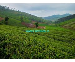 Property for sale in Ooty  3.3 acres tea garden