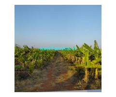 Agriculture Land for Sale 5 Acres at Pattanayakanahalli