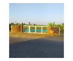 Agriculture Land for Sale 5 Acres at Pattanayakanahalli