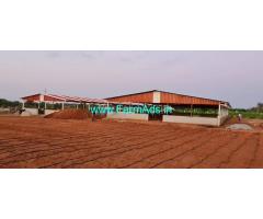 Agriculture Land for Sale 5 Acres at Pattanayakanahalli