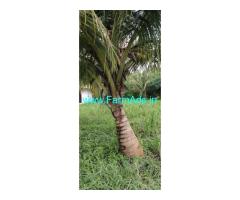 Land for sale in Kollangode, Palakkad district 15 acres