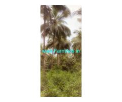 25 acres agriculture land sale Belthangady to Karkala road