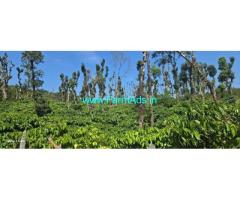 6 acre Maintained Robusta plantation sale in Mudigere