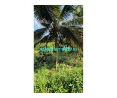 75 Cents Riverside Property for Sale in Attappadi