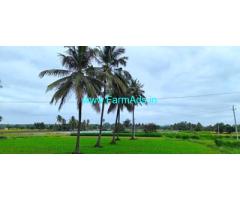 3.5 Acre Farm Property Sale Near Mulabagal