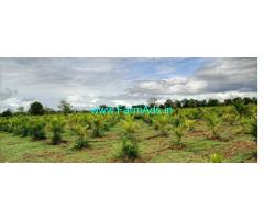 75 Acres developed farmland for sale near Hiriyur Town