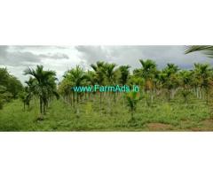 75 Acres developed farmland for sale near Hiriyur Town