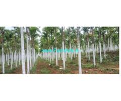 93 Acres farmland with 3 BHK RCC house for sale near Pavagada