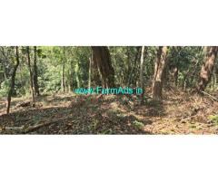 2.32 acre Farm land sale in Mudigere