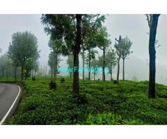 21.5 with 13 cents land extent Sale at Kotagiri