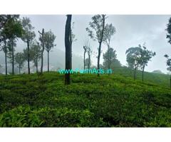 21.5 with 13 cents land extent Sale at Kotagiri